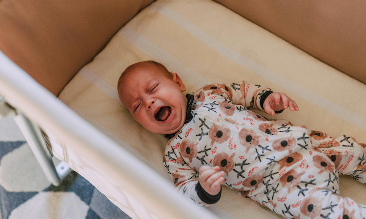 Is Loud Music Bad for Newborns? Risks, Safe Sound Levels, and Tips